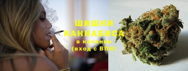 сатива Балабаново