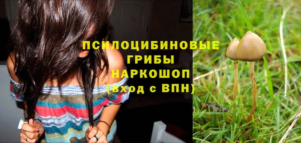прущий лед Покров