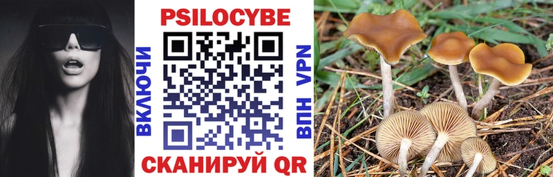 где продают   Североуральск  Псилоцибиновые грибы мухоморы 